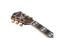 Ibanez AS113-BS Ibanez AS113-BS